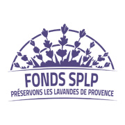 Nicolosi Créations reverse 1 212.80€ pour la sauvegarde de la Lavande en  Provence !